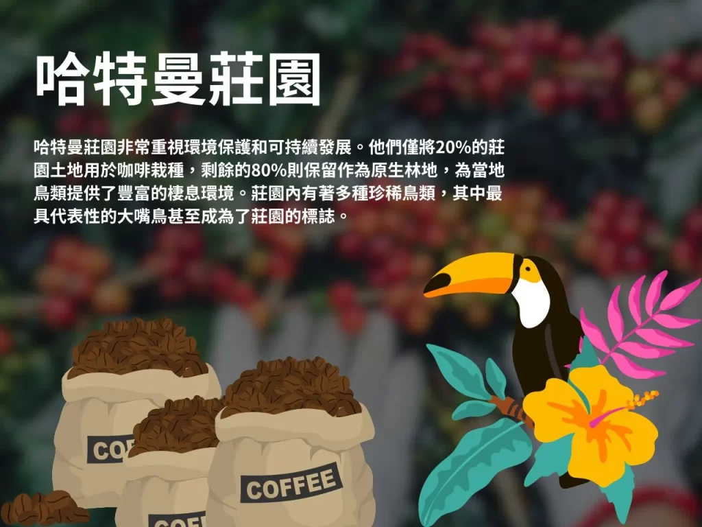 哈特曼莊園 藝伎咖啡 巴拿馬 水洗處理法 水洗藝伎
