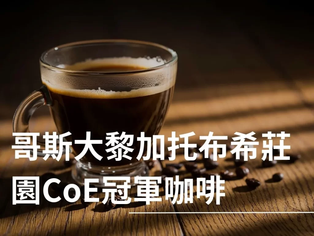 托布希莊園 哥斯大黎加 CoE卓越杯 藝伎厭氧紅蜜