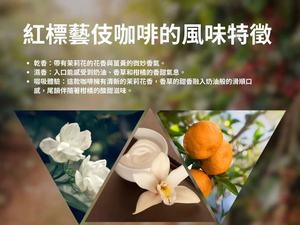 翡翠莊園 紅標藝伎 藝伎咖啡 水洗處理法 精品咖啡
