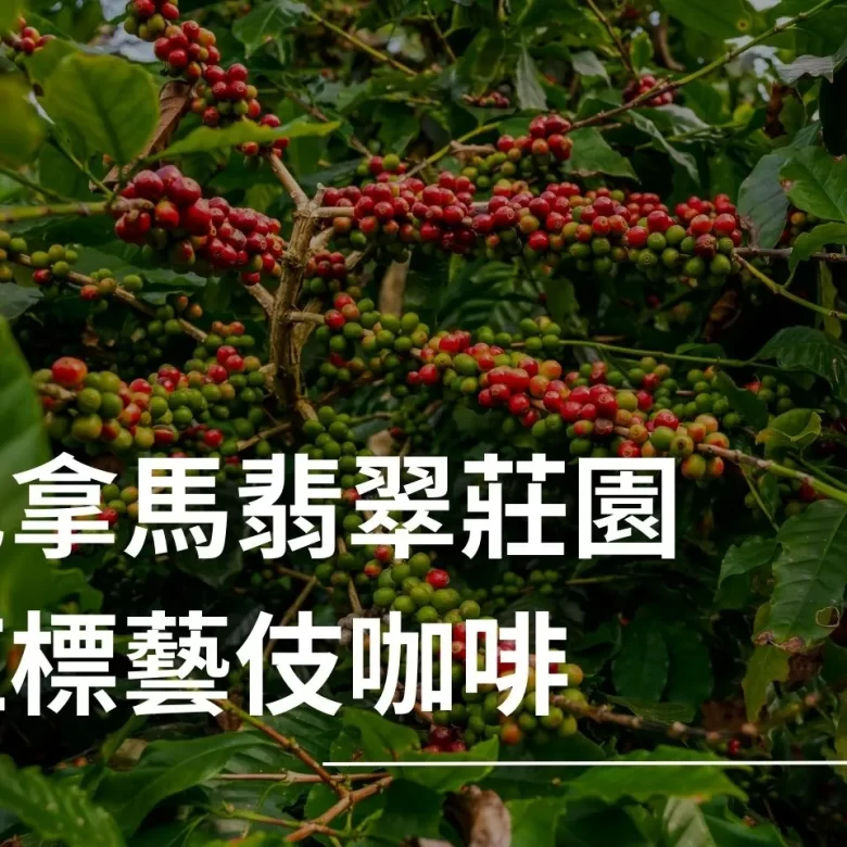 翡翠莊園 紅標藝伎 藝伎咖啡 水洗處理法 精品咖啡