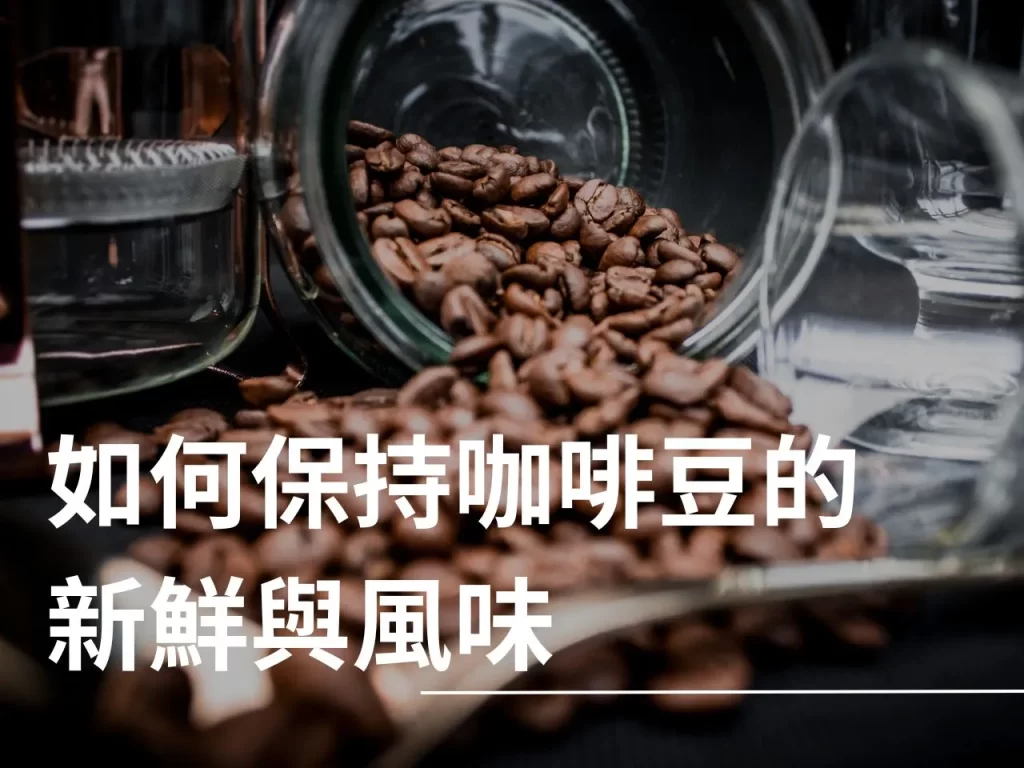 咖啡豆保存 咖啡豆 保存咖啡豆 咖啡豆怎麼保存
