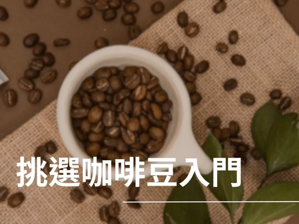 咖啡豆 阿拉比卡 羅布斯塔 咖啡豆處理法