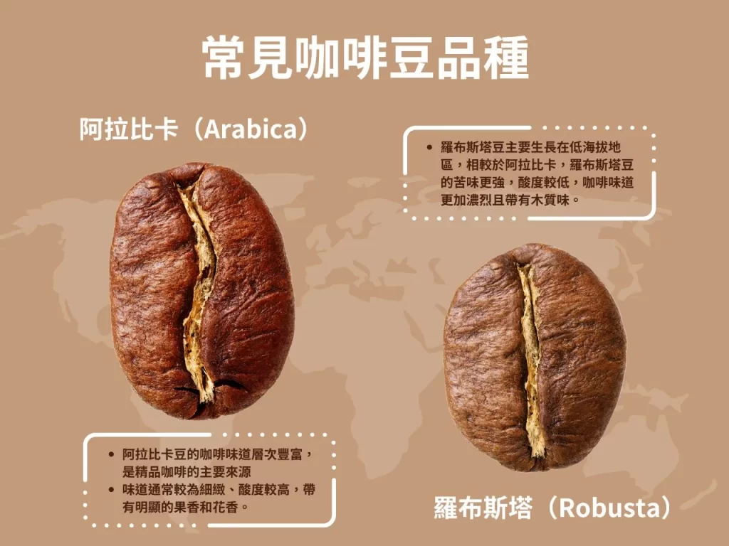 咖啡豆 阿拉比卡 羅布斯塔 咖啡豆處理法