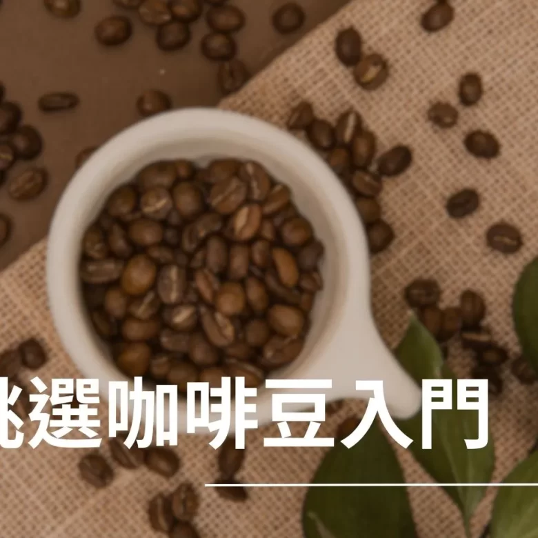 咖啡豆 阿拉比卡 羅布斯塔 咖啡豆處理法