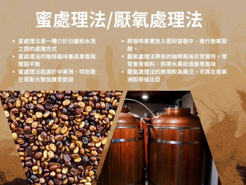 咖啡處理法 日曬處理法 水洗處理法 蜜處理法
