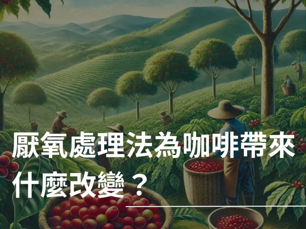 厭氧處理法 什麼是厭氧處理法 厭氧處理法的流程 咖啡處理法
