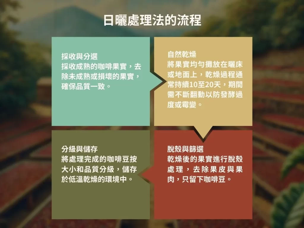 日曬處理法 什麼是日曬處理法 日曬處理法的流程 咖啡處理法
