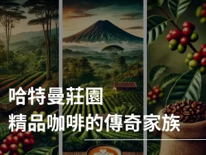 哈特曼莊園 精品咖啡 咖啡莊園 藝伎咖啡 寶貝藝伎
