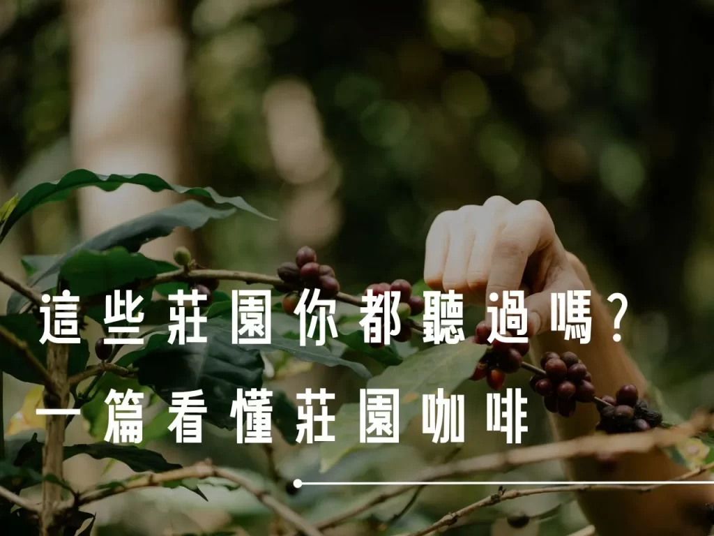 咖啡莊園 莊園咖啡 莊園咖啡是什麼 咖啡莊園介紹 翡翠莊園