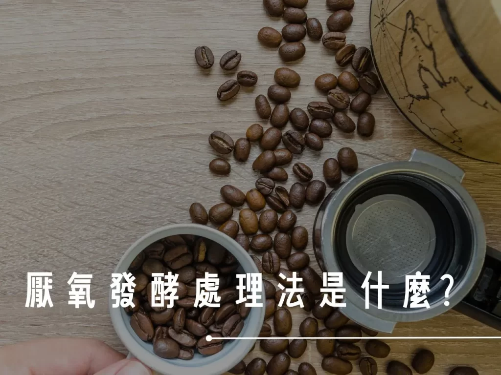 厭氧發酵 厭氧發酵處理 厭氧處理法的流程 厭氧發酵處理法是什麼

