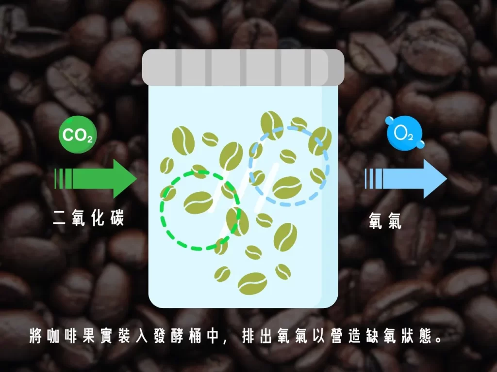 厭氧發酵 厭氧發酵處理 厭氧處理法的流程 厭氧發酵處理法是什麼
