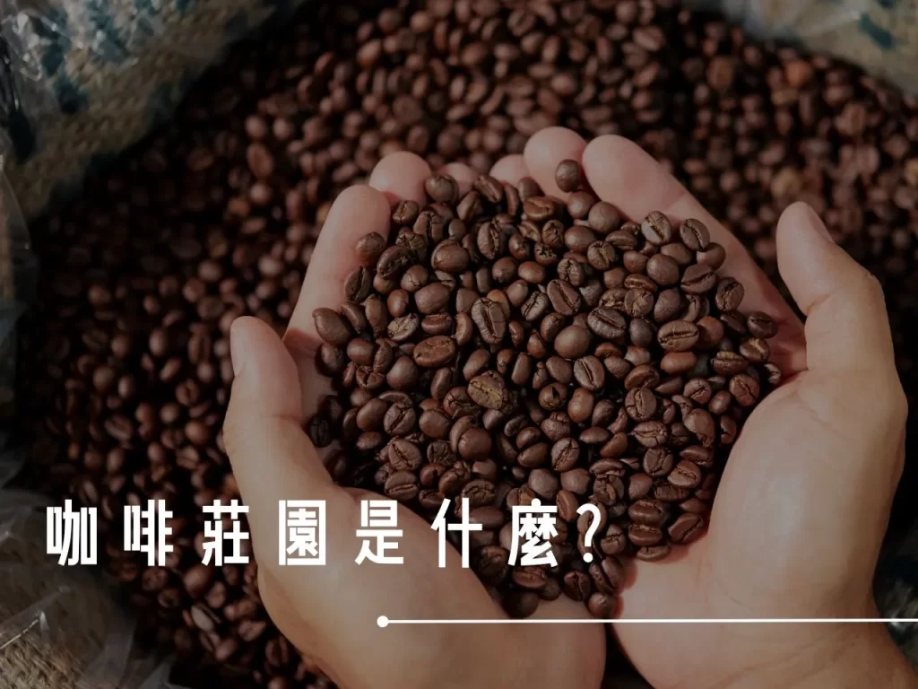 咖啡莊園 什麼是咖啡莊園 咖啡莊園的由來 咖啡莊園歷史