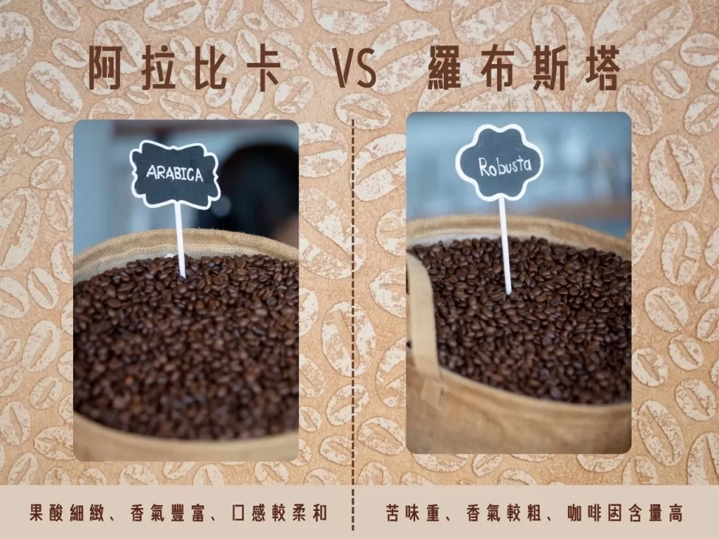 咖啡品種 咖啡品種介紹 阿拉比卡 羅布斯塔 藝伎咖啡