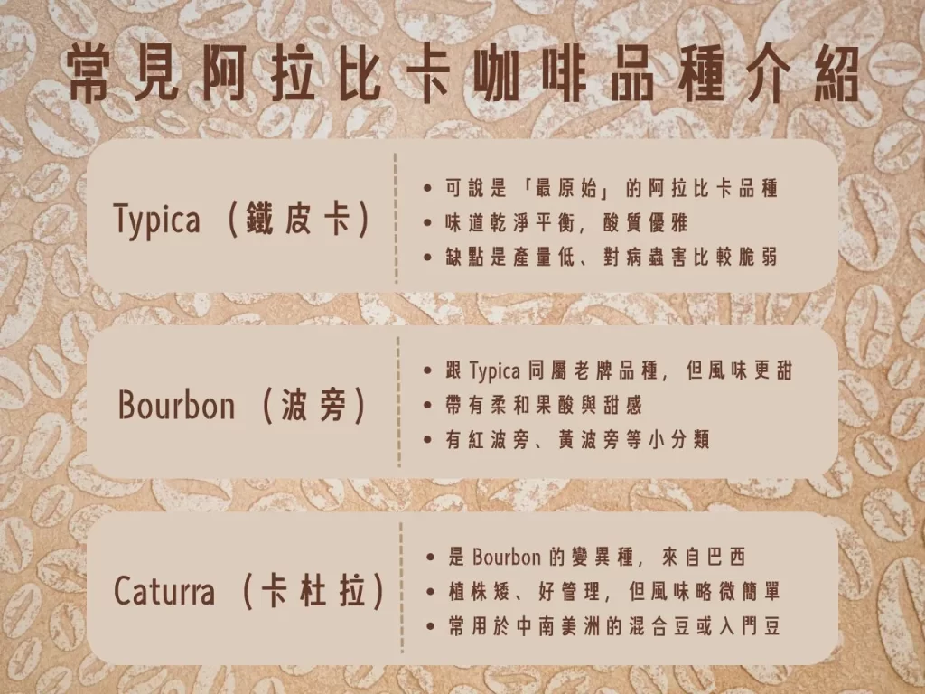 咖啡品種 咖啡品種介紹 阿拉比卡 羅布斯塔 藝伎咖啡