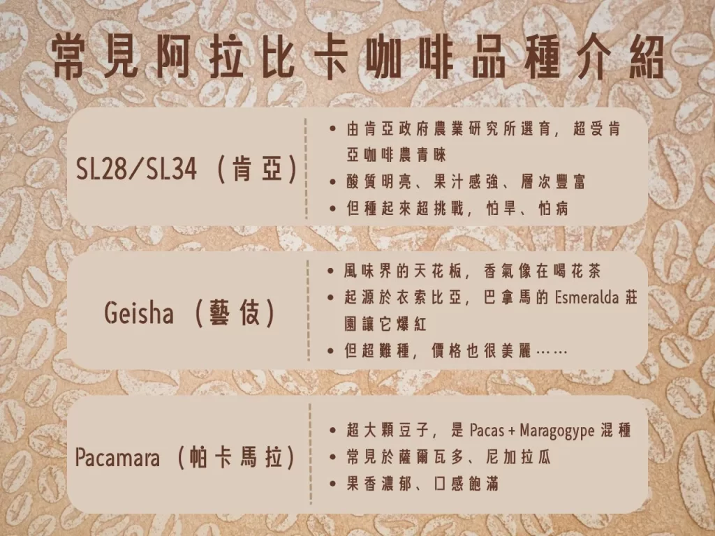 咖啡品種 咖啡品種介紹 阿拉比卡 羅布斯塔 藝伎咖啡