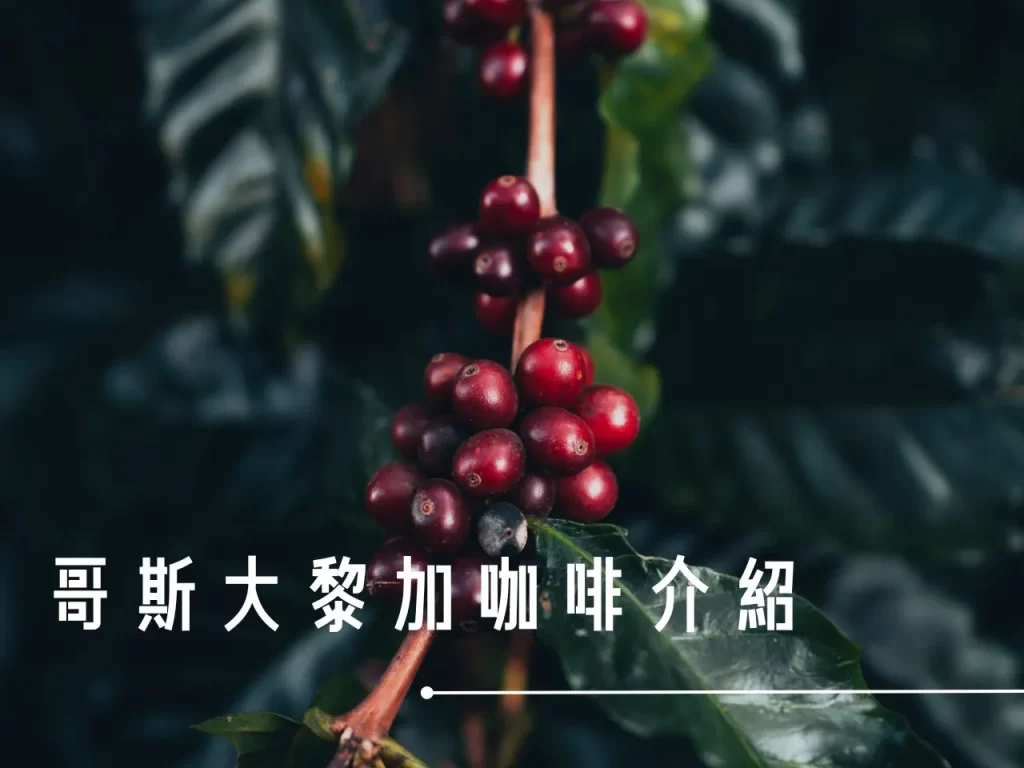 哥斯大黎加咖啡 咖啡的產區 精品咖啡 哥斯大黎加 咖啡處理法