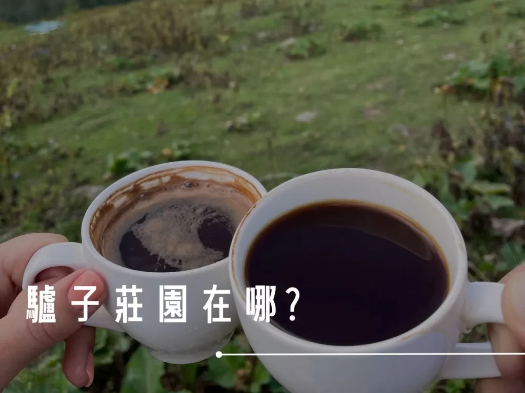驢子莊園 咖啡莊園 藝伎咖啡 最佳巴拿馬咖啡 莊園咖啡