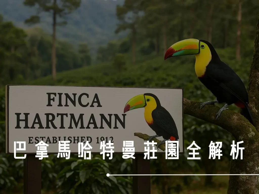 哈特曼莊園 藝伎咖啡 巴拿馬 水洗處理法 水洗藝伎