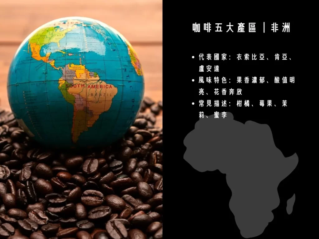 咖啡五大產區 咖啡產區 全球咖啡 全球咖啡產區