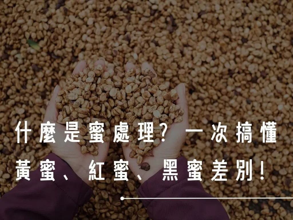 蜜處理 什麼是蜜處理 蜜處理法的分類 咖啡處理法