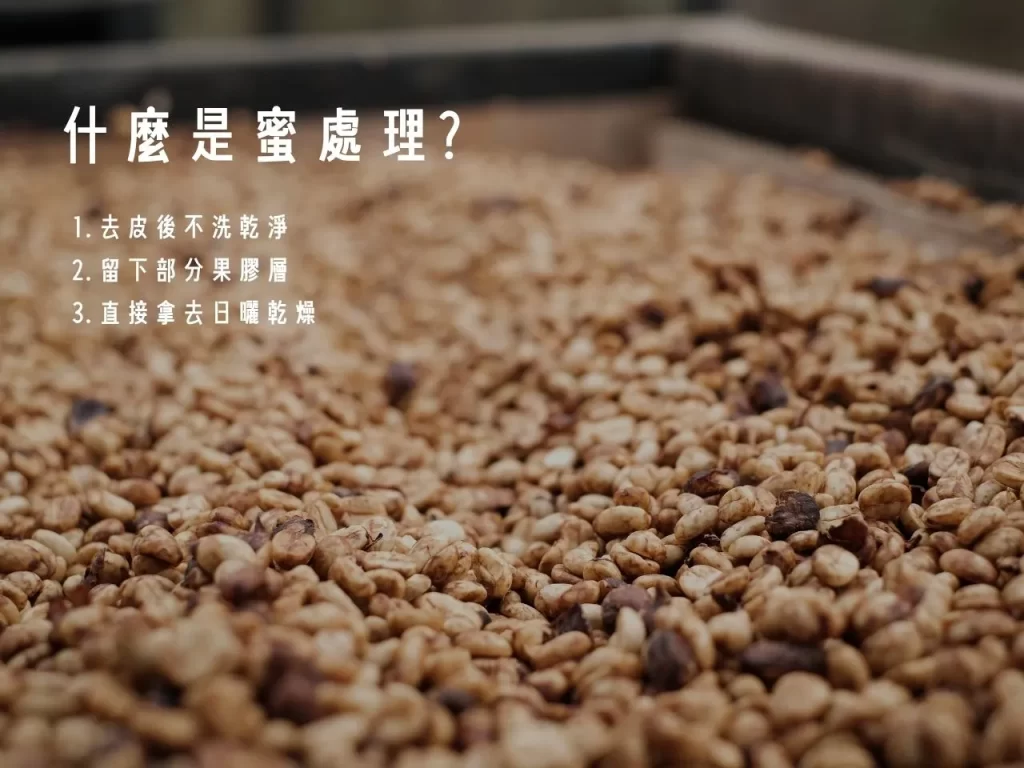 蜜處理 什麼是蜜處理 蜜處理法的分類 咖啡處理法
