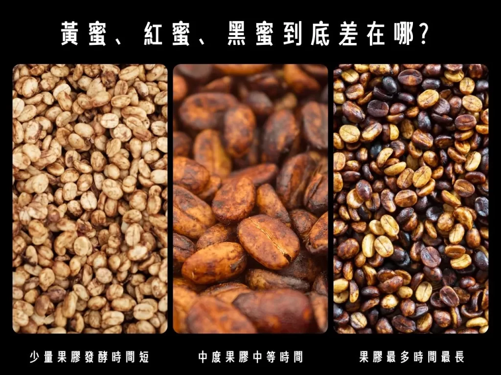 蜜處理 什麼是蜜處理 蜜處理法的分類 咖啡處理法