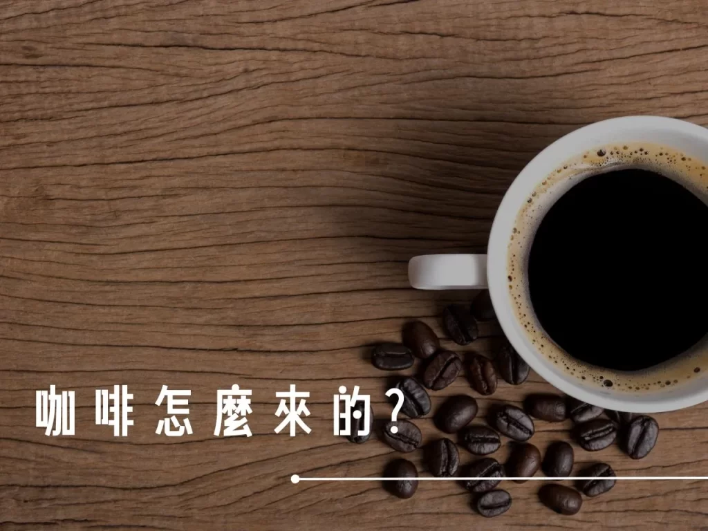 咖啡怎麼來的 咖啡果實 咖啡育苗 咖啡栽種 咖啡採收 咖啡處理