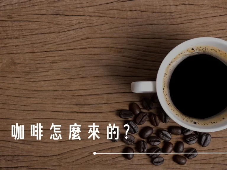 咖啡怎麼來的 咖啡果實 咖啡育苗 咖啡栽種 咖啡採收 咖啡處理