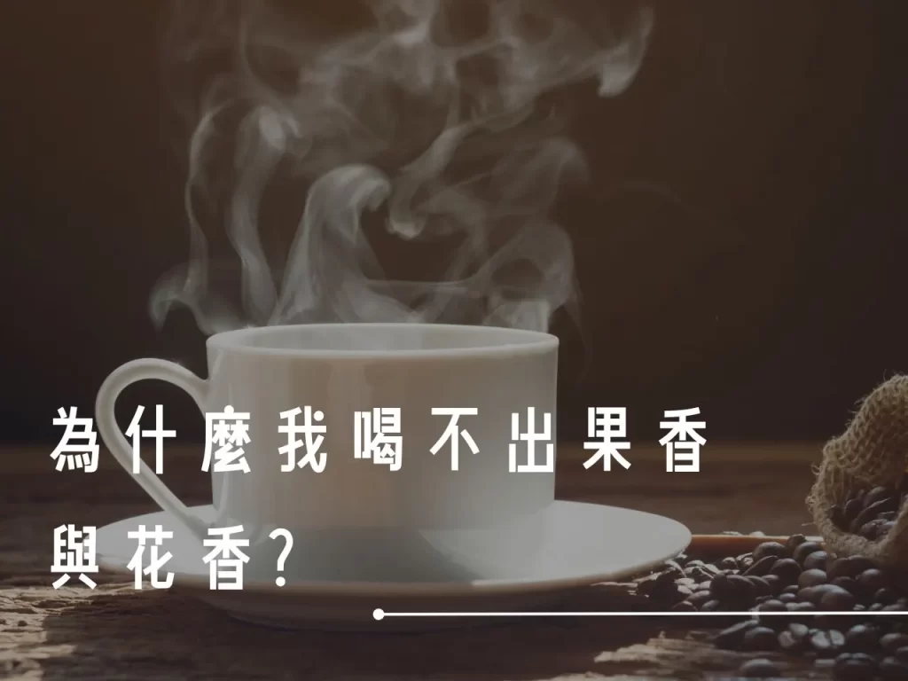 咖啡風味 常見咖啡風味 喝不出來咖啡風味 風味描述怎麼來的 咖啡風味輪
