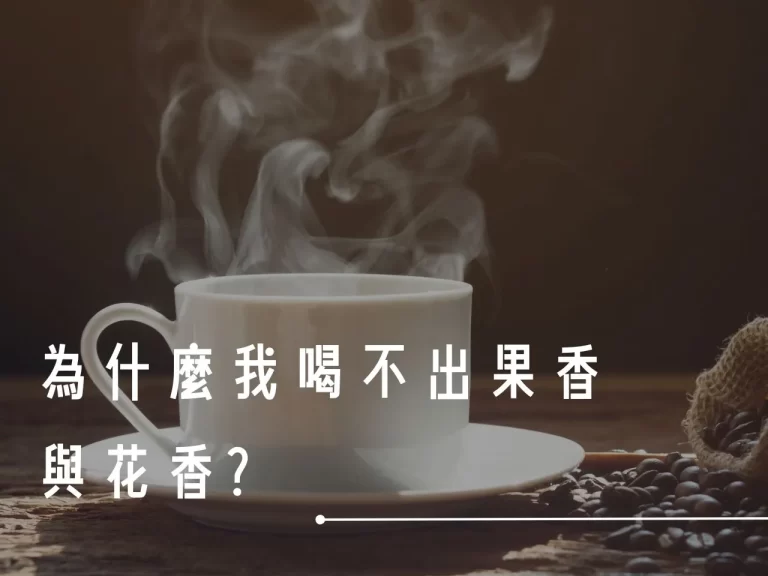 咖啡風味 常見咖啡風味 喝不出來咖啡風味 風味描述怎麼來的 咖啡風味輪