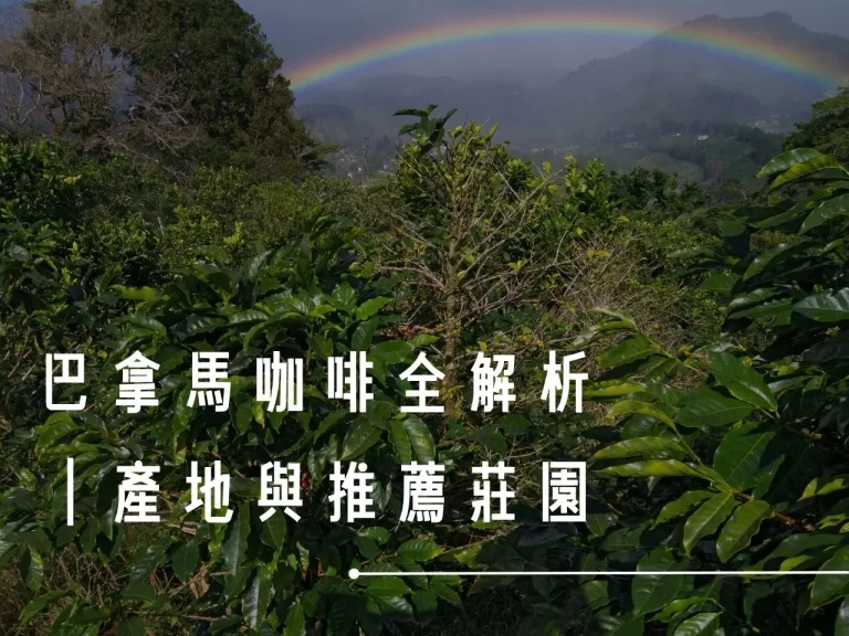 巴拿馬咖啡 咖啡莊園 巴拿馬咖啡莊園 藝伎咖啡 巴拿馬咖啡豆