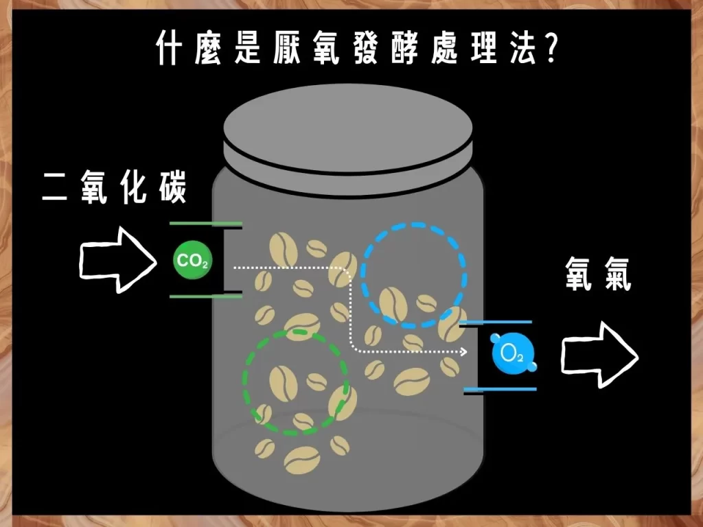 厭氧發酵 厭氧發酵處理法 什麼是厭氧發酵處理法 厭氧處理法的流程