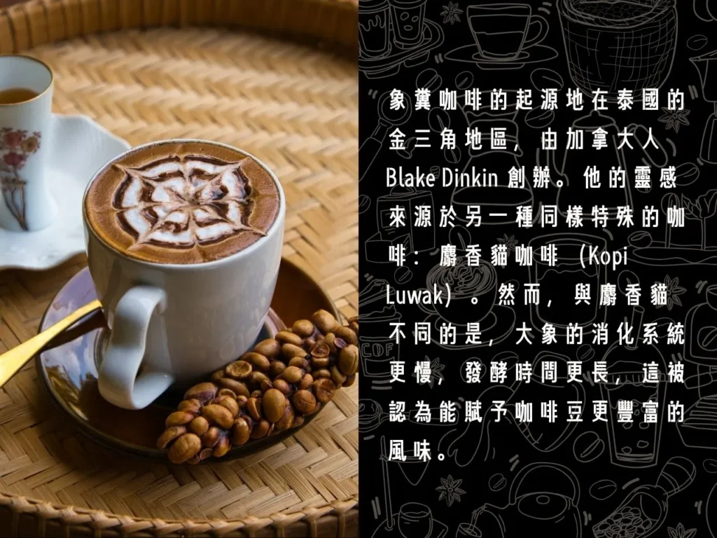 象糞咖啡 黑象牙咖啡 最貴的咖啡 昂貴咖啡 十大昂貴咖啡