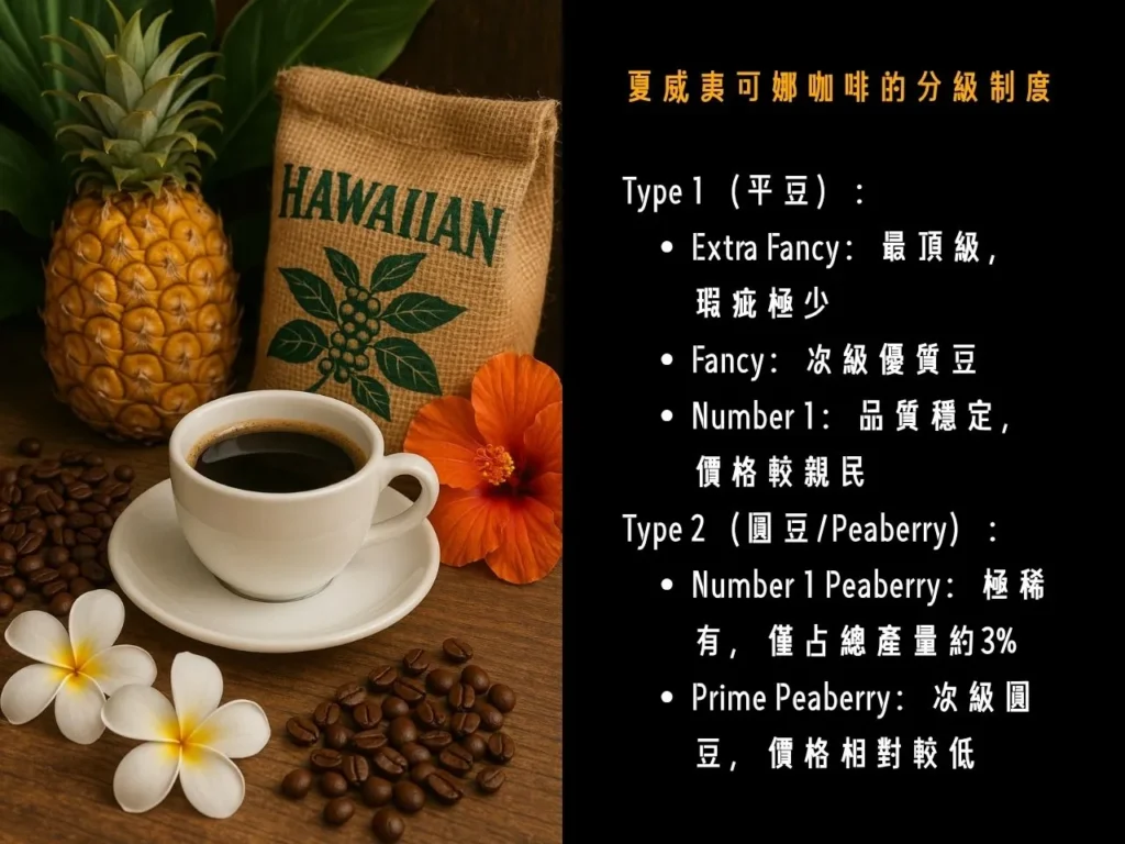 可娜咖啡 夏威夷可娜 什麼是夏威夷可娜 十大昂貴咖啡 為什麼夏威夷可娜這麼貴