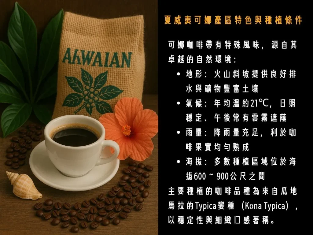 可娜咖啡 夏威夷可娜 什麼是夏威夷可娜 十大昂貴咖啡 為什麼夏威夷可娜這麼貴
