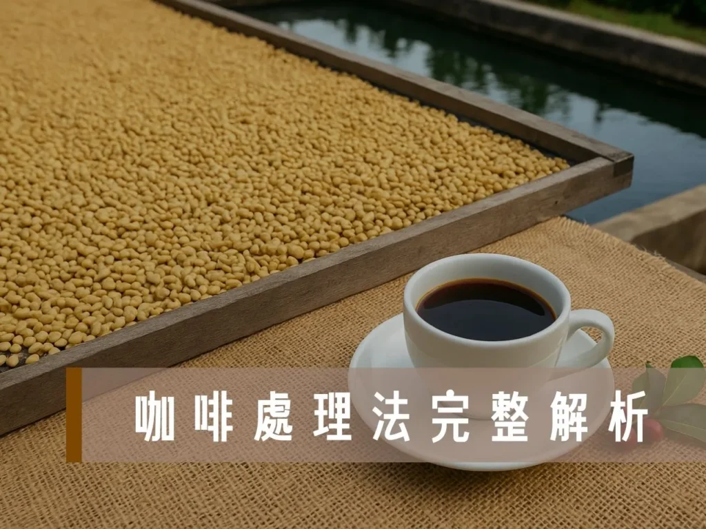 咖啡處理法 咖啡豆處理法 蜜處理 日曬水洗差別 日曬水洗蜜處理 日曬水洗風味差別