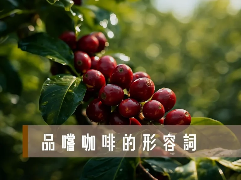 品嚐咖啡的形容詞 咖啡風味怎麼來的 咖啡風味輪 咖啡風味表 咖啡香氣來源