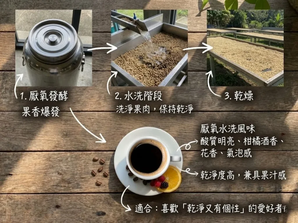 厭氧發酵處理法 厭氧水洗處理法 厭氧日曬處理法 厭氧蜜處理 雙重厭氧發酵