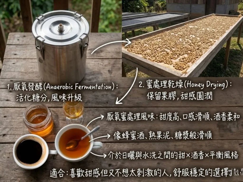 厭氧發酵處理法 厭氧水洗處理法 厭氧日曬處理法 厭氧蜜處理 雙重厭氧發酵