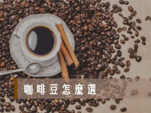 咖啡豆怎麼選 咖啡豆哪裡買 咖啡豆種類 咖啡豆推薦不酸 手沖咖啡豆推薦