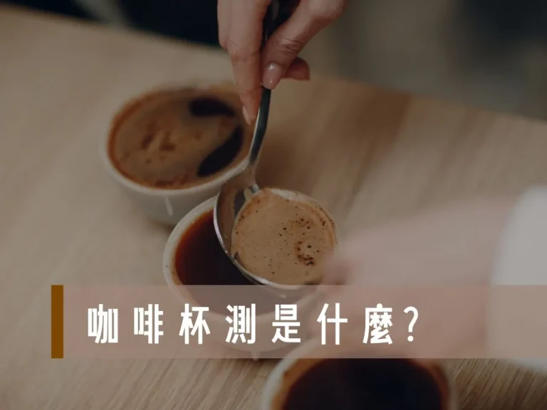 咖啡杯測是什麼 咖啡杯測流程 咖啡杯測表 杯測粉水比 咖啡杯測師 杯測比賽規則 咖啡酸度表 咖啡杯測課程 Sca杯測流程 咖啡杯測比賽