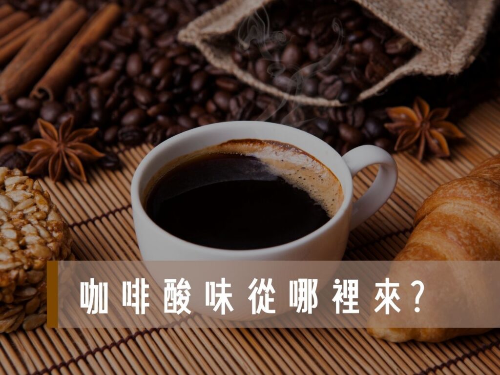 咖啡酸味從哪裡來 咖啡酸好還是不酸好 咖啡酸度排行 咖啡變酸可以喝嗎 咖啡酸的原因 咖啡太酸怎麼辦