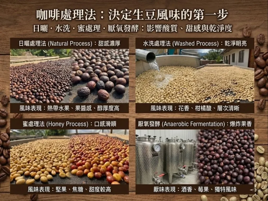 咖啡處理法 日曬水洗差別 日曬水洗蜜處理 日曬水洗風味差別 厭氧發酵咖啡
