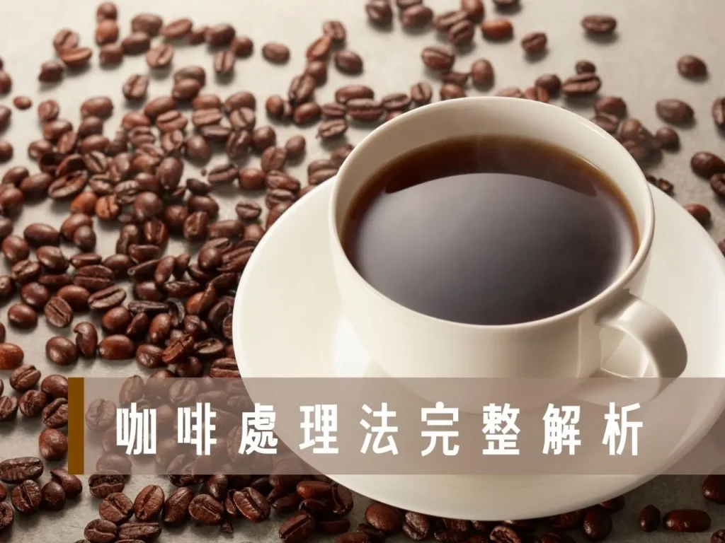 咖啡處理法 日曬水洗差別 日曬水洗蜜處理 日曬水洗風味差別 厭氧發酵咖啡
