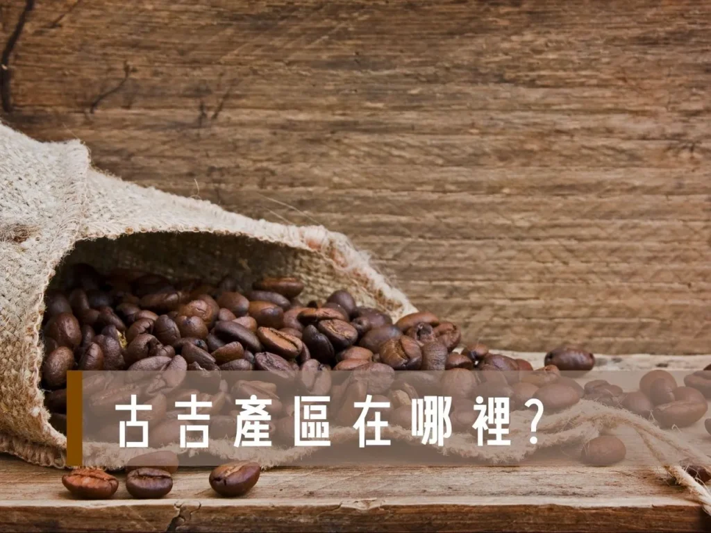 古吉產區 谷吉產地 古吉咖啡 谷吉咖啡 Guji咖啡 古吉產區風味 谷吉產地咖啡特色 古吉咖啡和耶加雪菲差異 古吉咖啡適合手沖嗎 谷吉咖啡推薦