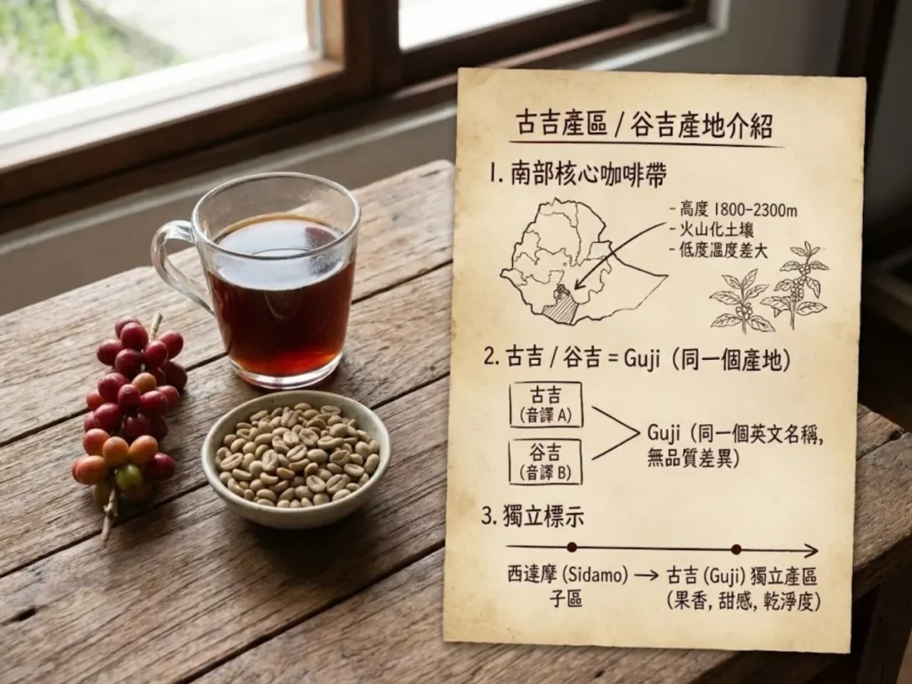 古吉產區 谷吉產地 古吉咖啡 谷吉咖啡 Guji咖啡 古吉產區風味 谷吉產地咖啡特色 古吉咖啡和耶加雪菲差異 古吉咖啡適合手沖嗎 谷吉咖啡推薦